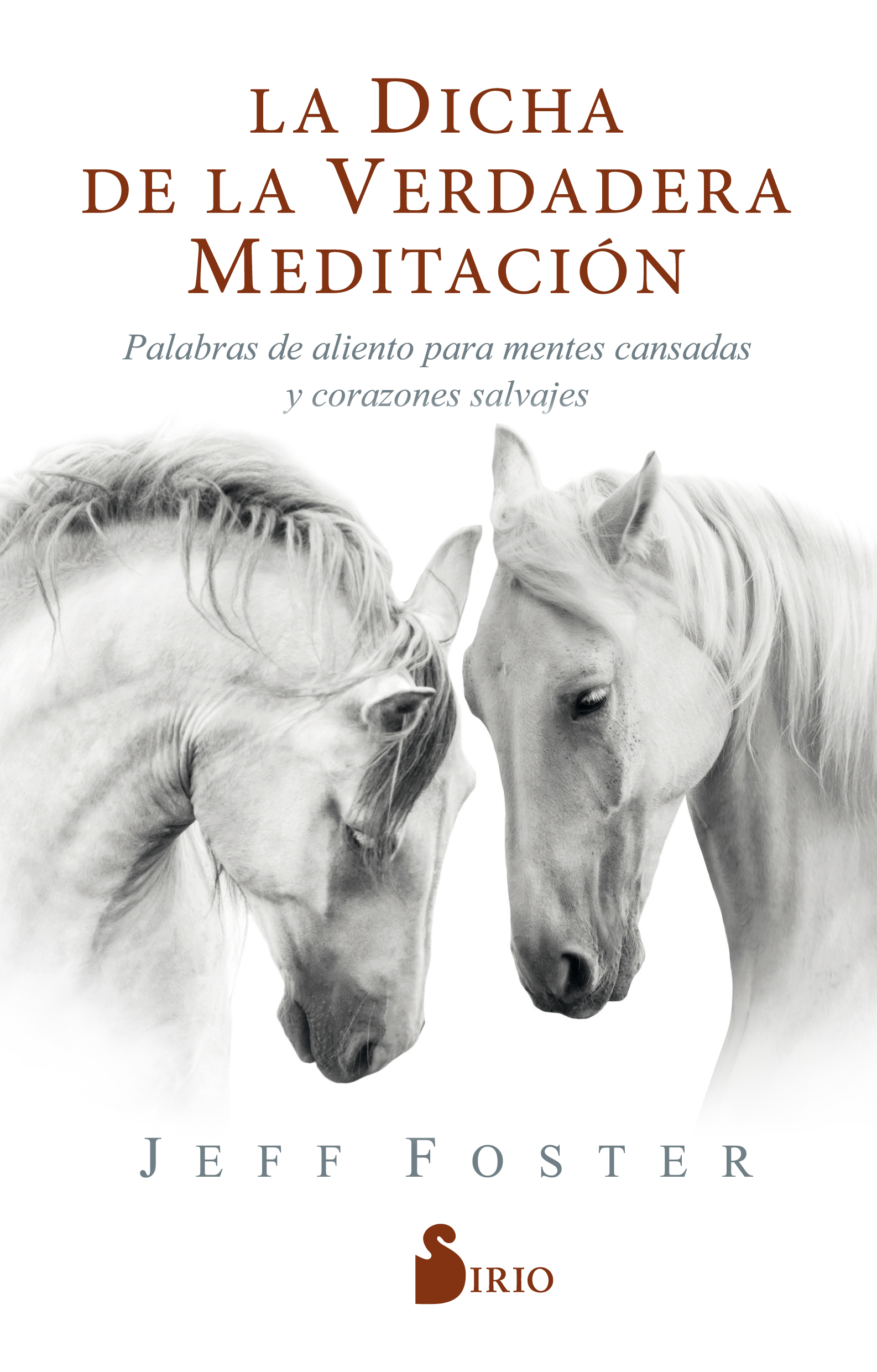 DICHA DE LA VERDADERA MEDITACIÓN, LA                                  